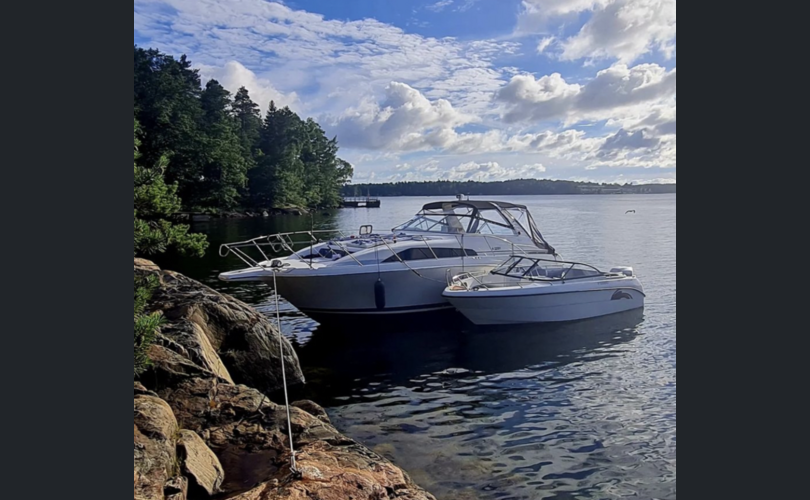 Bayliner Avanti Express 3255-kuva-3